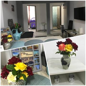 Фотографии Гостевой дом Andres Central Apartments House г. Тыргу-Муреш (Румыния) №2 Фото Гостевой дом Andres Central Apartments House г. Тыргу-Муреш 2