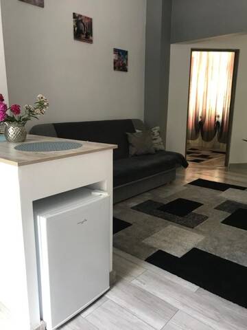 Фото номера Дом с 1 спальней Гостевой дом Andres Central Apartments House г. Тыргу-Муреш 7