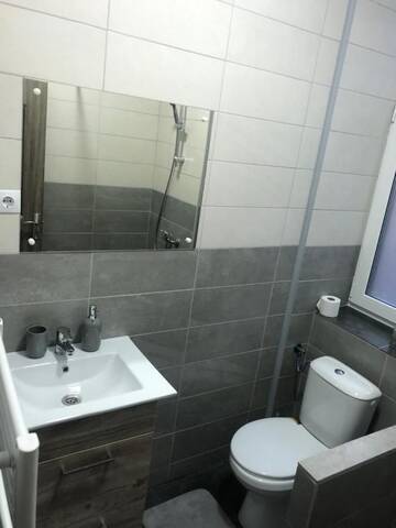 Фото номера Дом с 1 спальней Гостевой дом Andres Central Apartments House г. Тыргу-Муреш 14