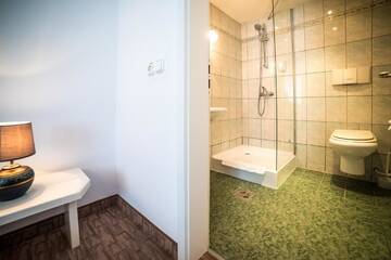 Фото номера Классический двухместный номер с 1 кроватью Гостевой дом Villa Helvetia г. Тыргу-Муреш 22