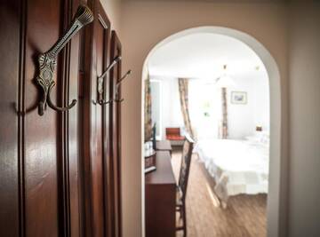 Фото номера Классический двухместный номер с 1 кроватью Гостевой дом Villa Helvetia г. Тыргу-Муреш 26
