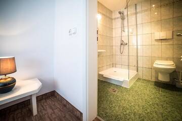 Фото номера Классический двухместный номер с 1 кроватью Гостевой дом Villa Helvetia г. Тыргу-Муреш 9