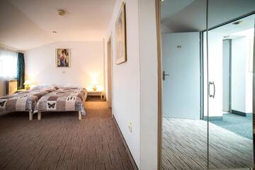 Фото номера Двухместный номер с 2 отдельными кроватями Гостевой дом Villa Helvetia г. Тыргу-Муреш 5