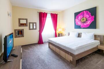 Фото номера Люкс в пентхаусе Отель Business Hotel Conference Center &amp; Spa г. Тыргу-Муреш 3