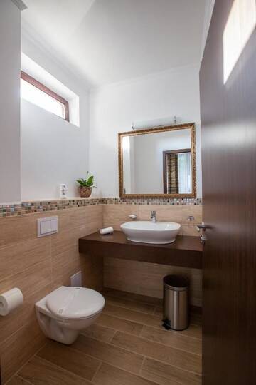 Фото номера Двухместный номер Делюкс с 1 кроватью Гостевой дом Casa Adria г. Тыргу-Муреш 6